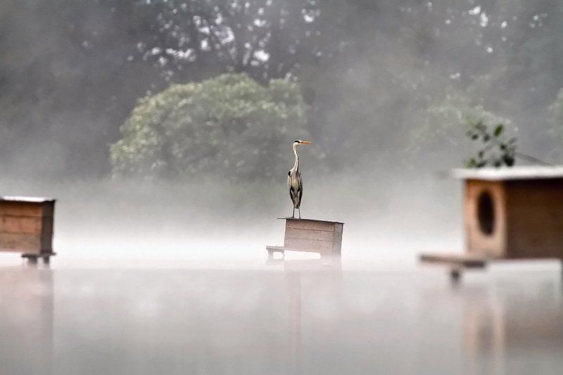 __1__ фото превью