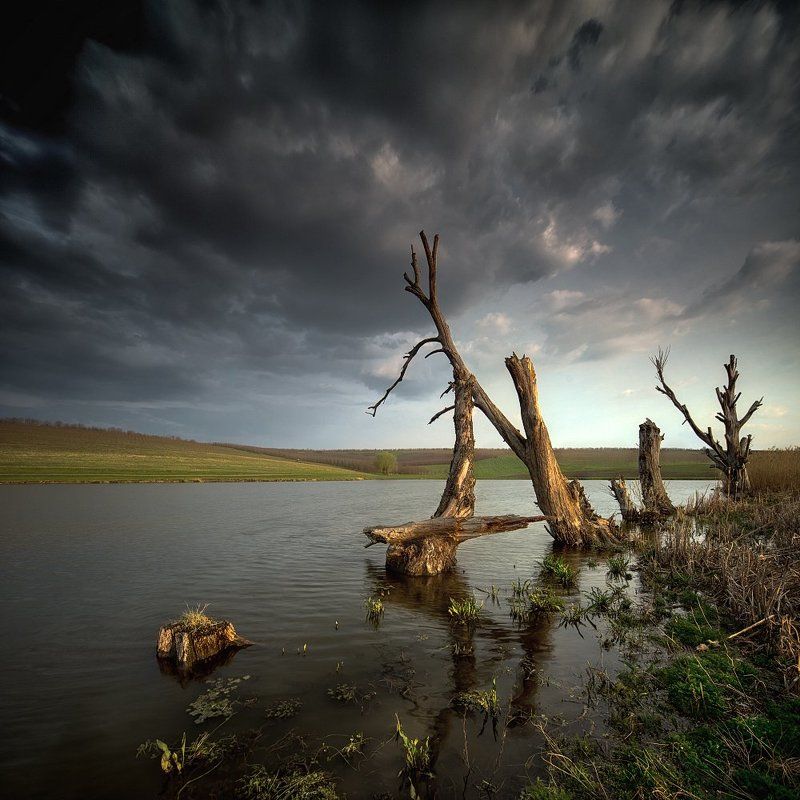 *** фото превью