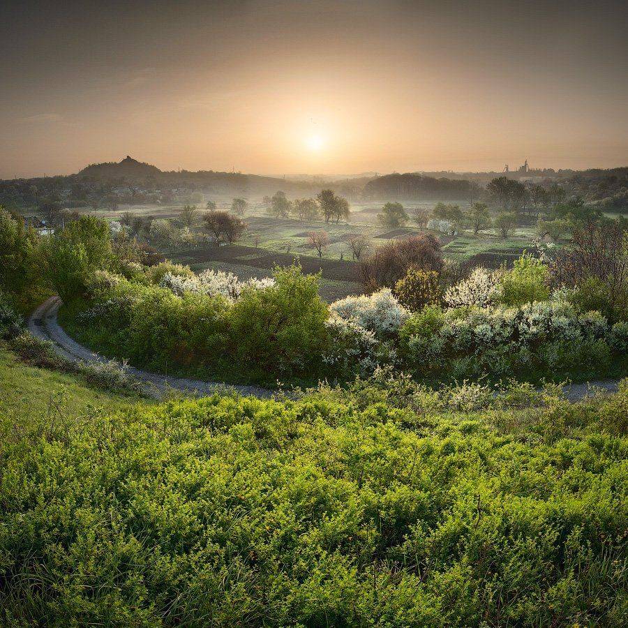 , Виталий Башкатов