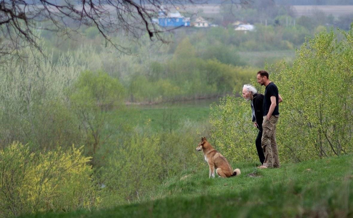 , Николай Шахманцир