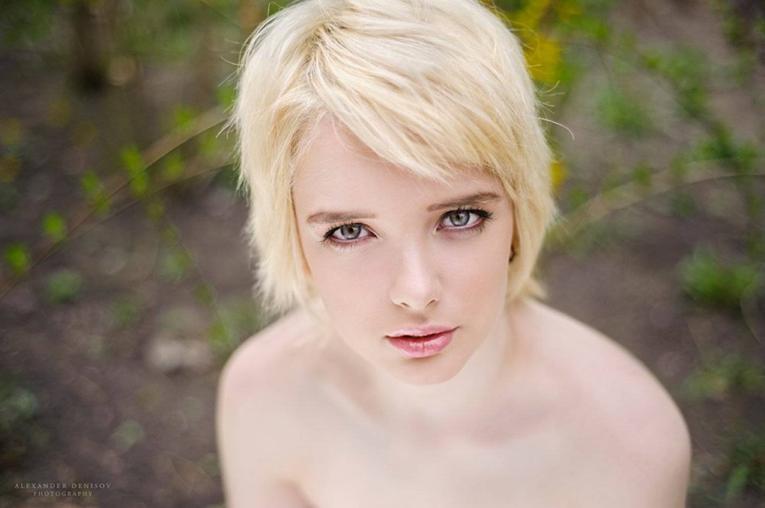 , Александр Денисов