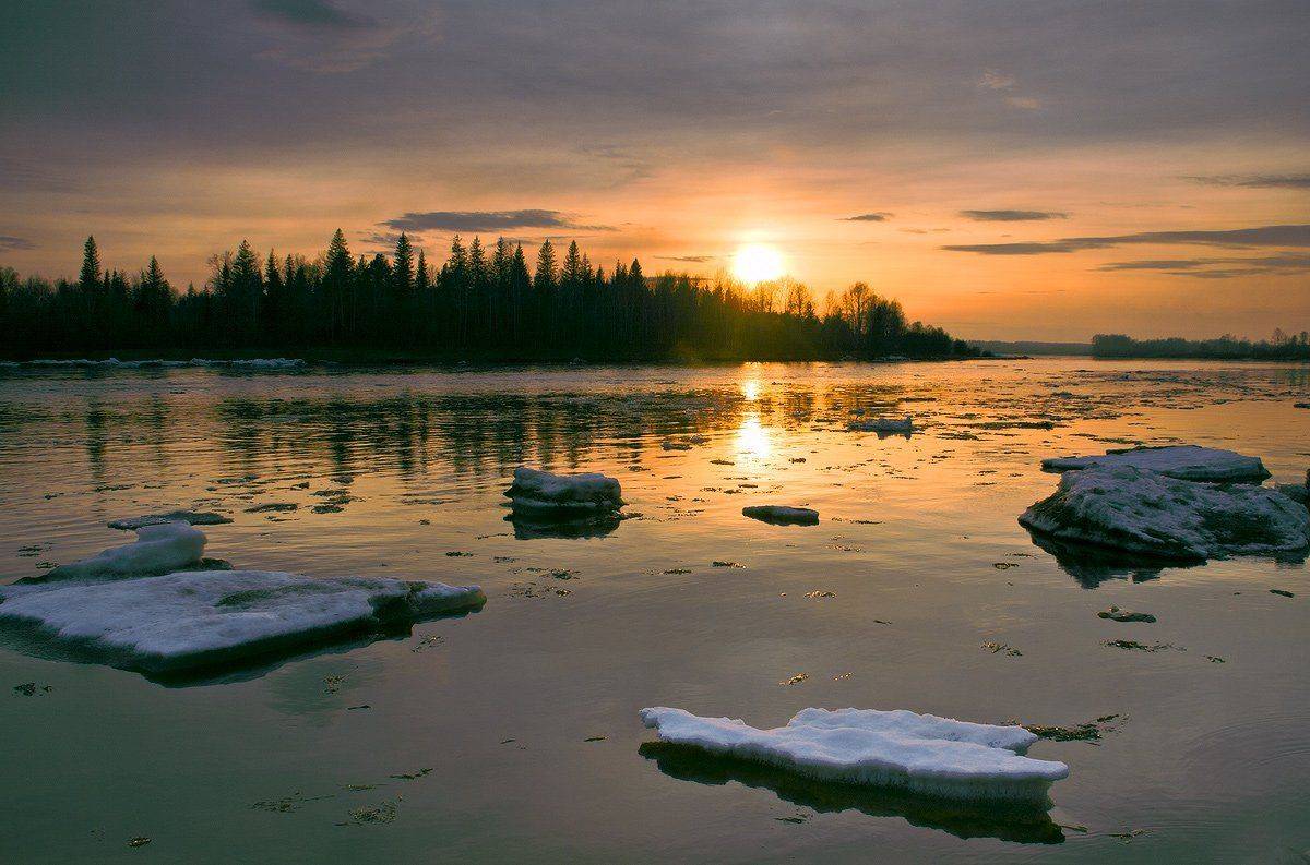 , Николай Морский