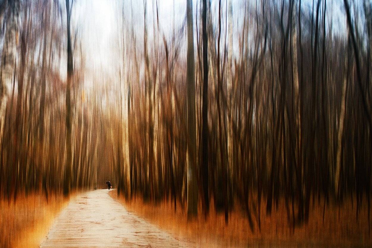 , Денис Ходюков