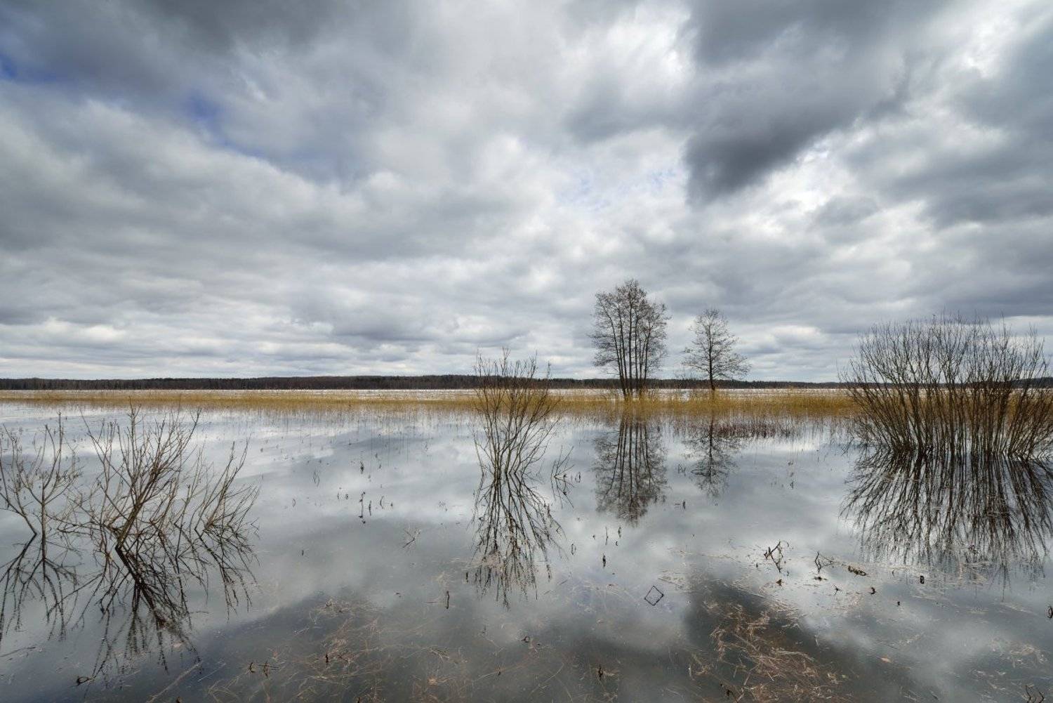 вашутинское, озеро, Максим Евдокимов