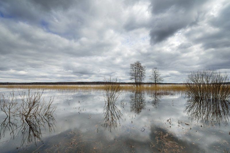 вашутинское, озеро *** фото превью