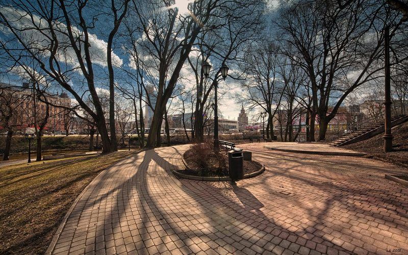 тени в парке фото превью