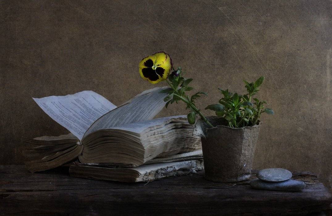 , Петрова Татьяна