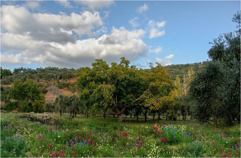 По Турции фото превью