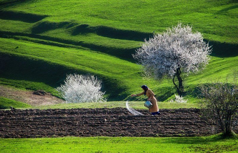 Земля моя, вместе с тобой дышать будем! фото превью