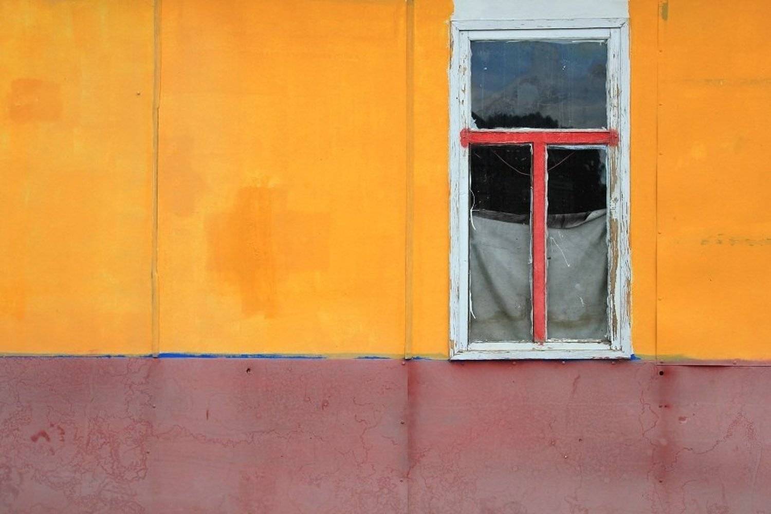 , Сюзанна Шевченко