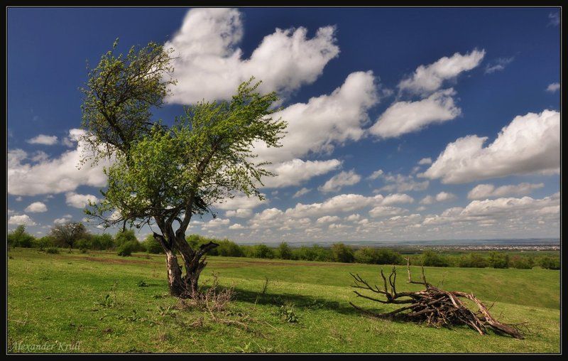 чечня О тленности всея бренного... фото превью