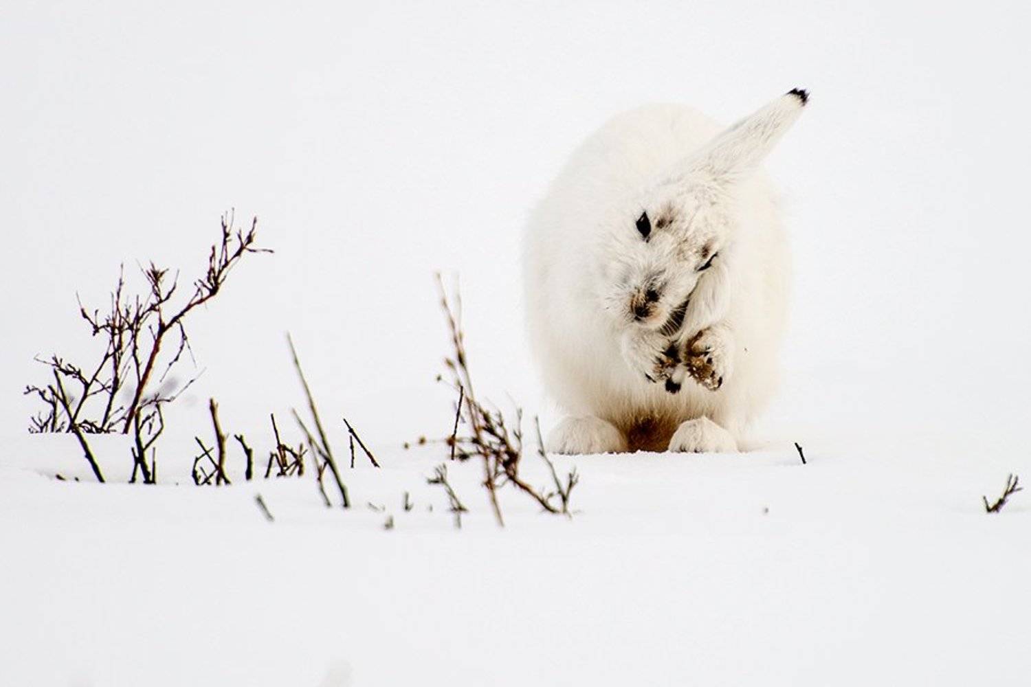 , Иван Кислов