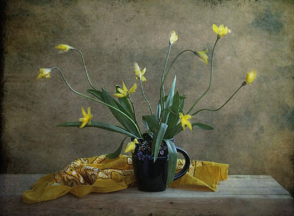 , Петрова Татьяна