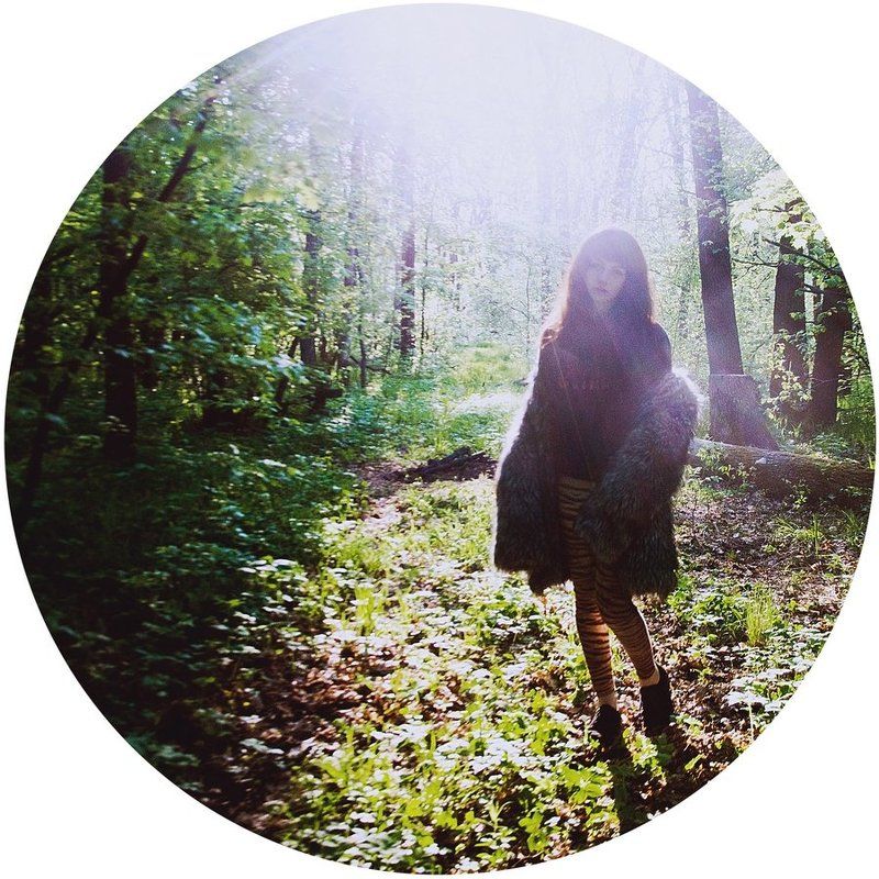 morning-nature-sun фото превью