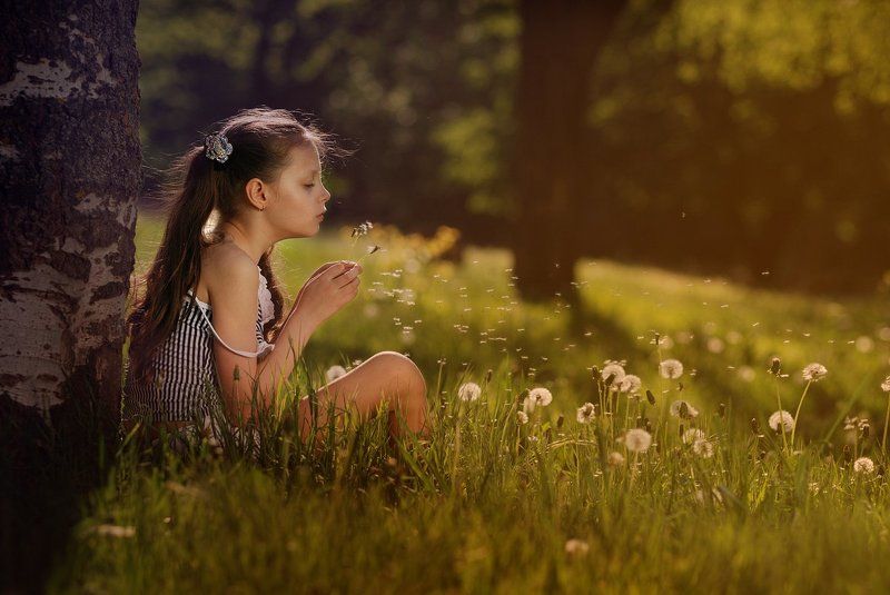 МАЙ фото превью