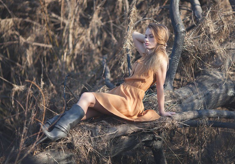 гламур, ветер, волосы, блики, секси, трава, солнце, солома Country Star фото превью