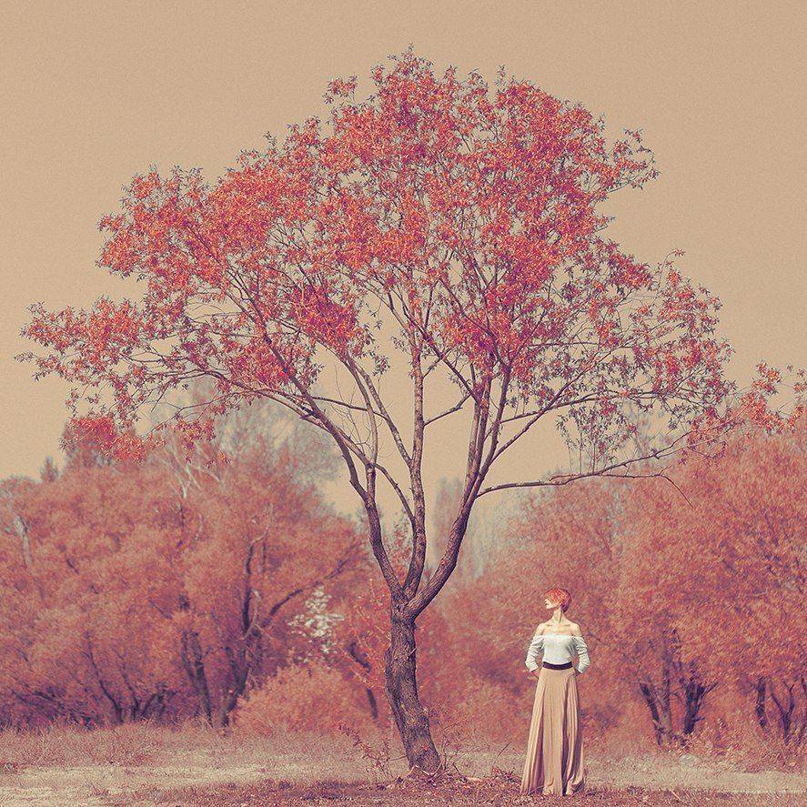 , Меркулов Антон