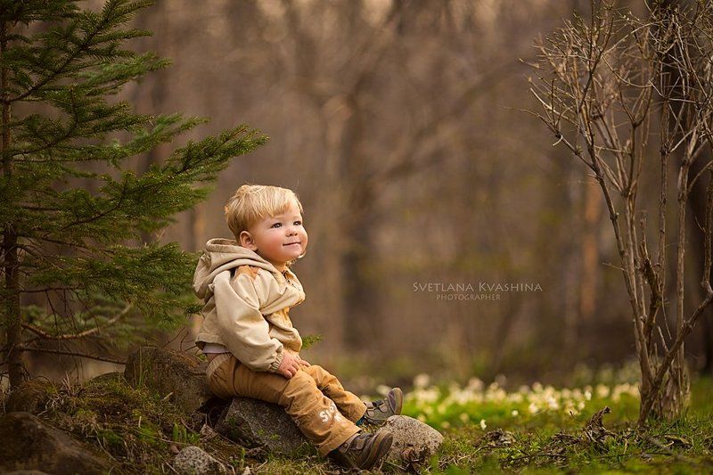 Слушая весенний лес фото превью