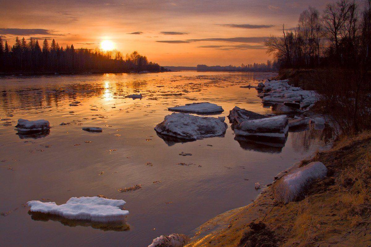 , Николай Морский