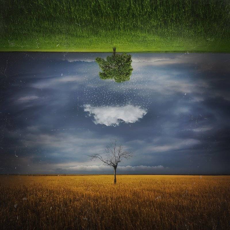 , Hossein Zare