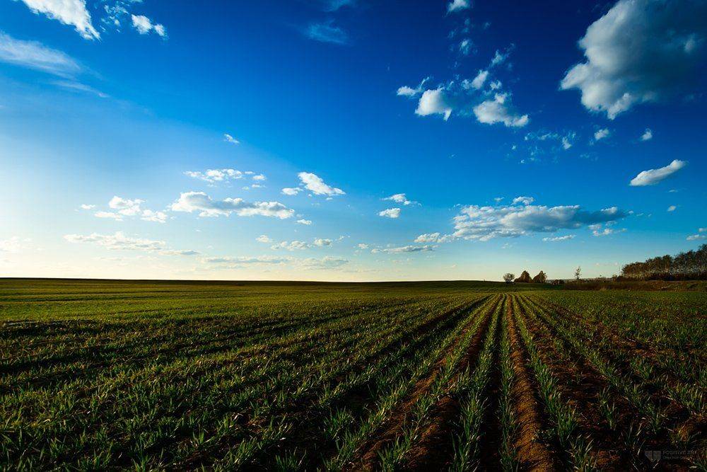 , Мария Мальгина