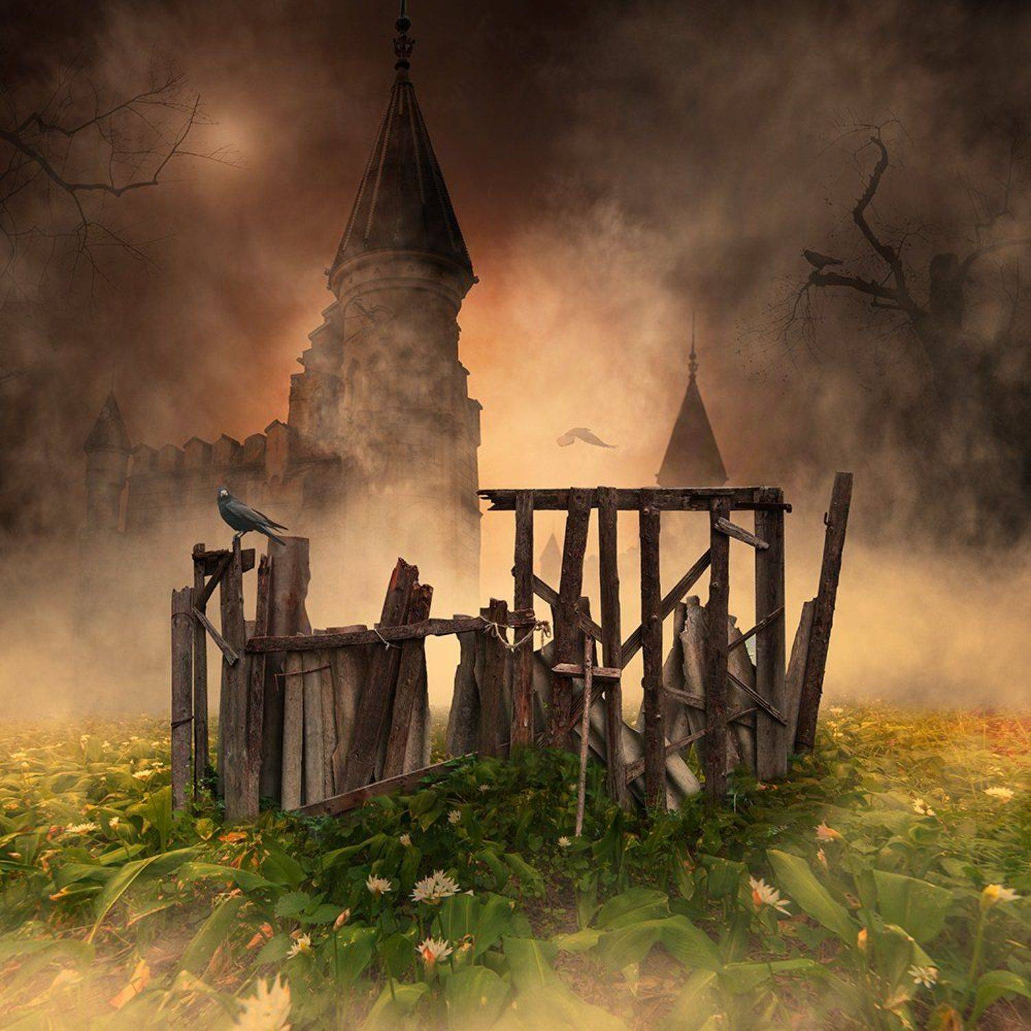 clouds, crow, flowers, fly, fog, garden, green, leaf, light, magic, manipulation, mystery, photoshop, psd, regal, shadow, sun, tree, tutorials, wood, Caras Ionut