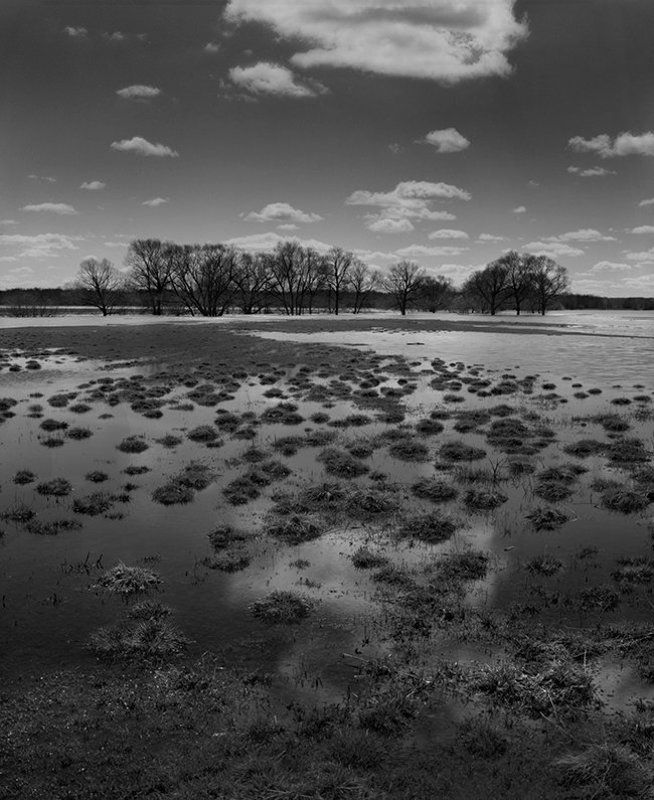 4x5, Bw, Delta 100, Film, Horseman, Landscape, Nikon  фото превью