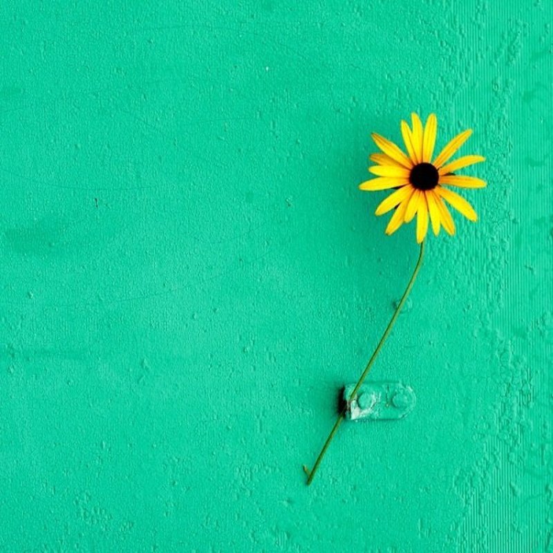 ) фото превью