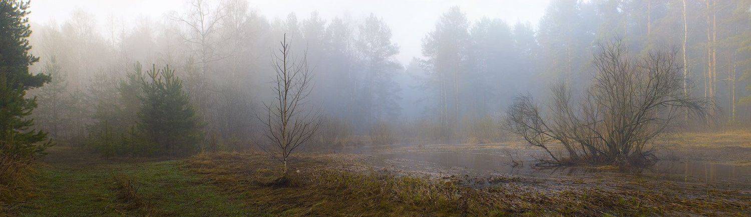 утро, туман, речка, лес, Дмитрий Алексеев