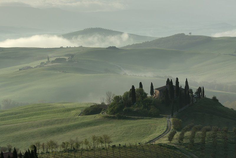 тоскана Villa Belvedere ( в цвете) фото превью