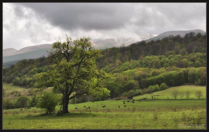 дагестан Пограничное состояние... фото превью