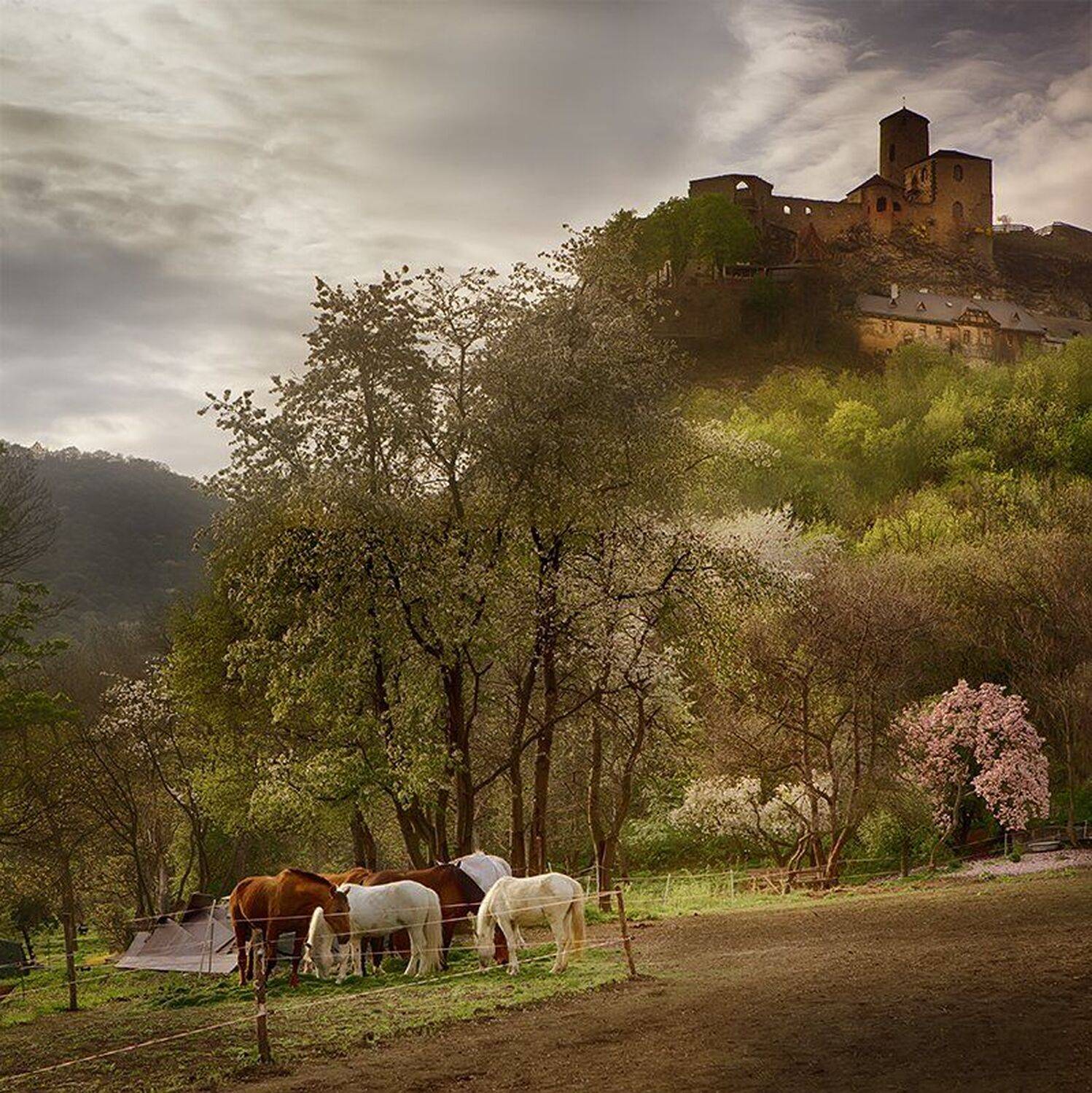 чешская республика, замок,весна, Игорь Дубровский