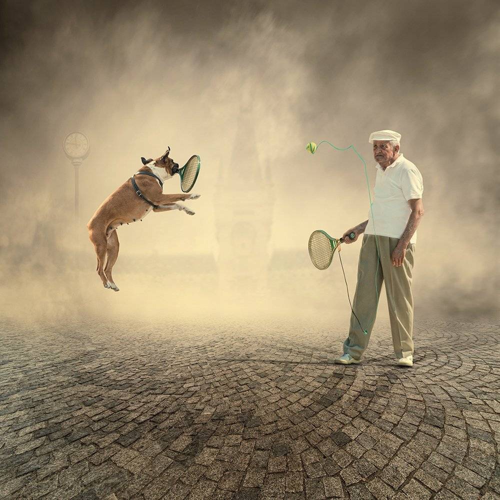 ball, castle, clock, dog, fog, game, girl, ground, jump, light, man, manipulation, maya, old, photoshop, play, pole, psd, stone, tennis, tie, tutorials, Caras Ionut