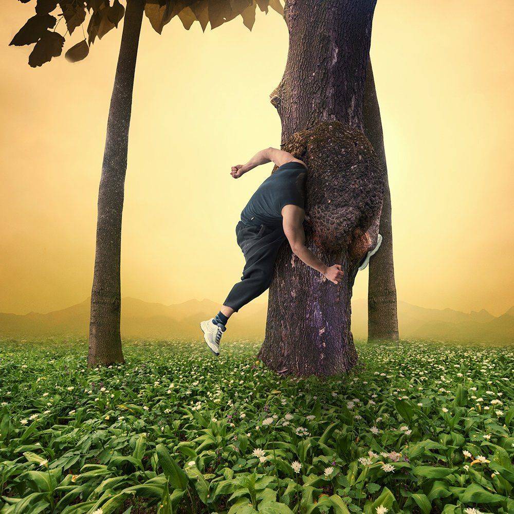 clouds, flowers, green, jumper, leaf, light, man, manipulation, orange, psd, roof, sky, sport, tree, tutorials, yellow, Caras Ionut