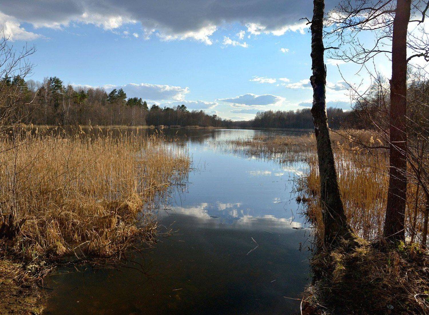 , Сергей Седов