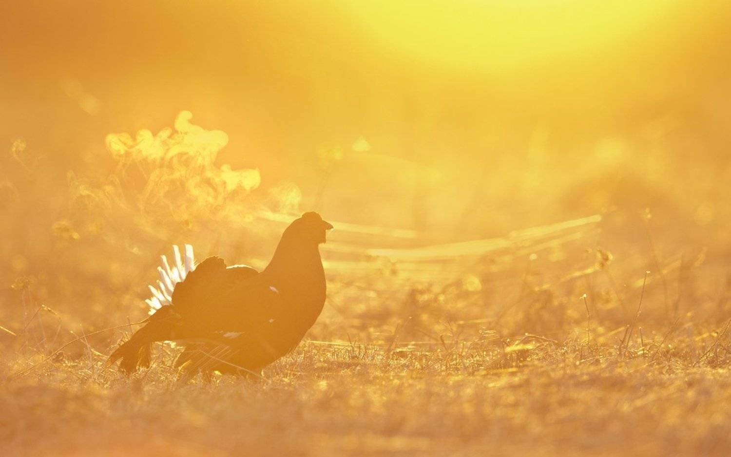 , Коногорова Женя