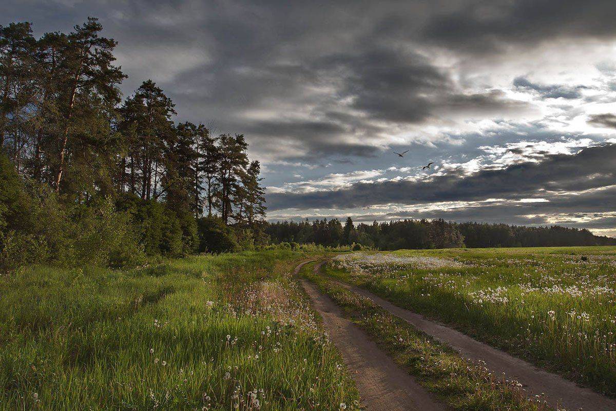 , Андрей Леонидович