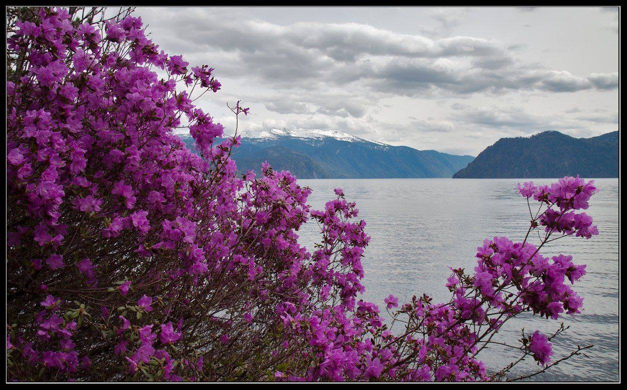 , Юрий Фролов