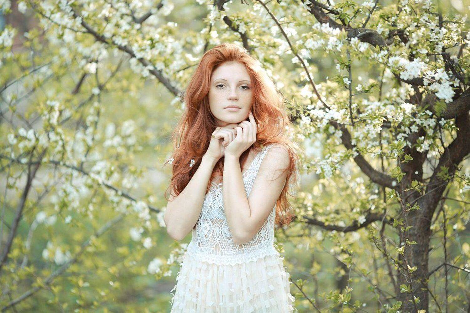 , Вербіцкий Тарас