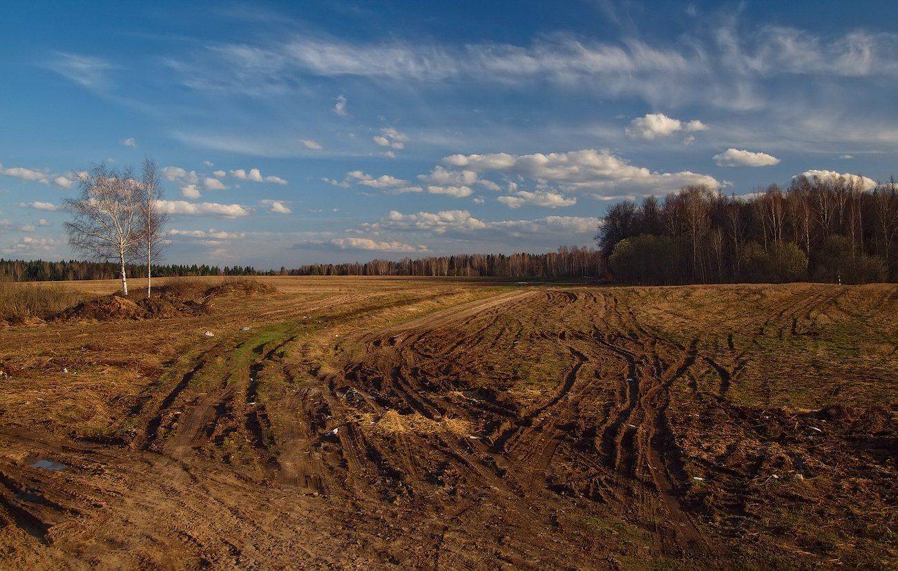, Владимир Перепечаев