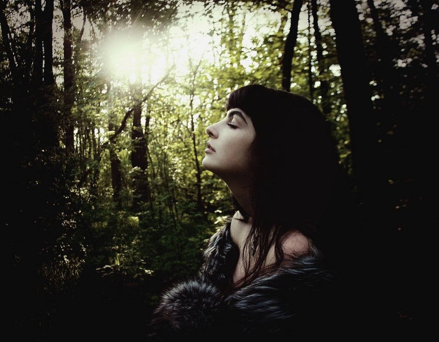 , Глазунов Николай