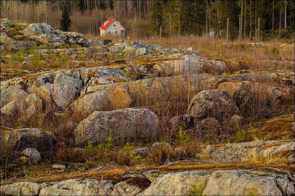 , Бурлов Андрей