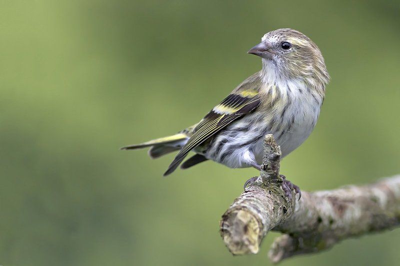 10 photos фото превью