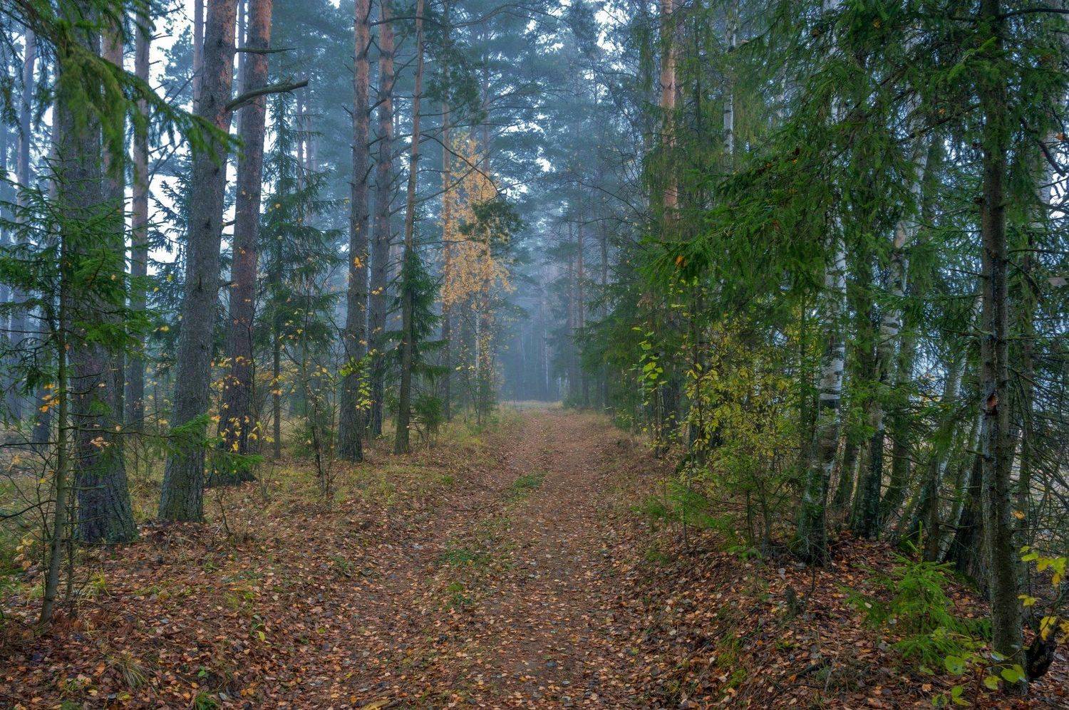 ,  Валерий