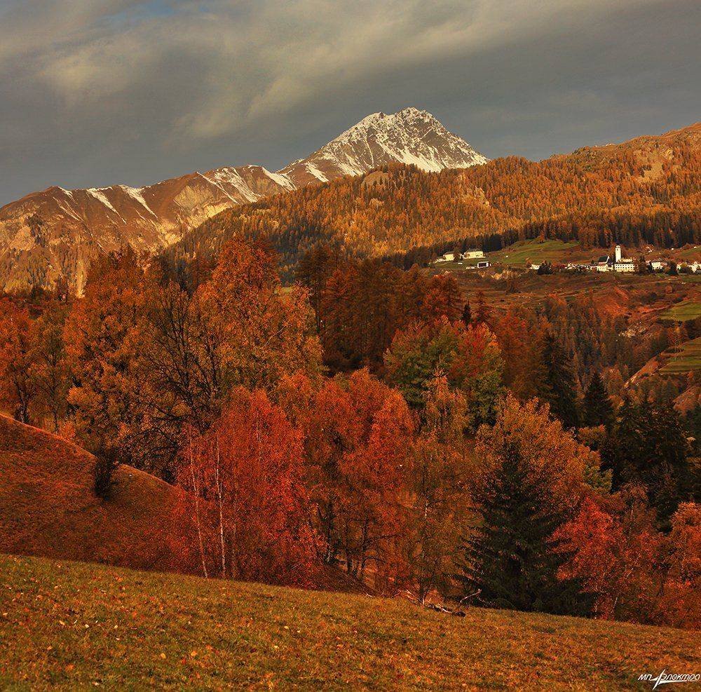 swiss, Матвеев Николай