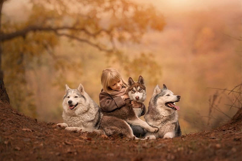 фото превью