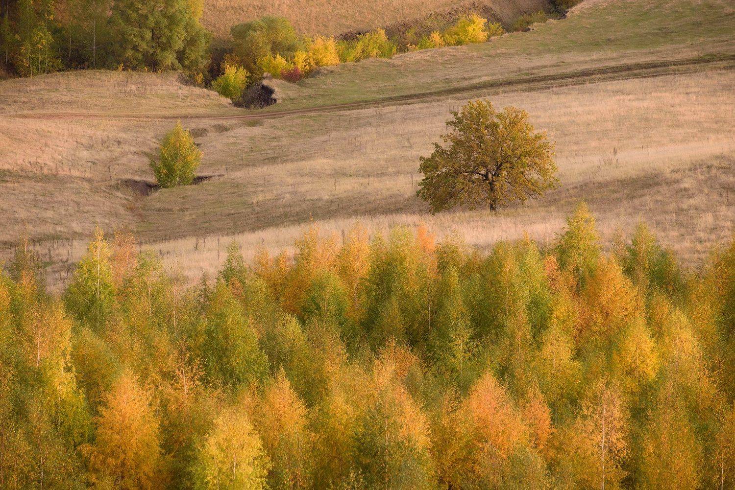 природа, пейзаж, Россия, осень, Рустам Афлятунов