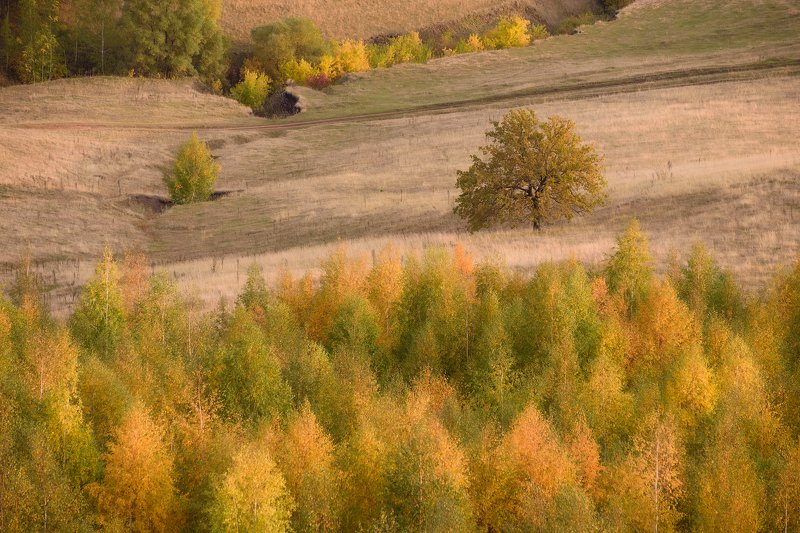 природа, пейзаж, Россия, осень Осенние краски фото превью