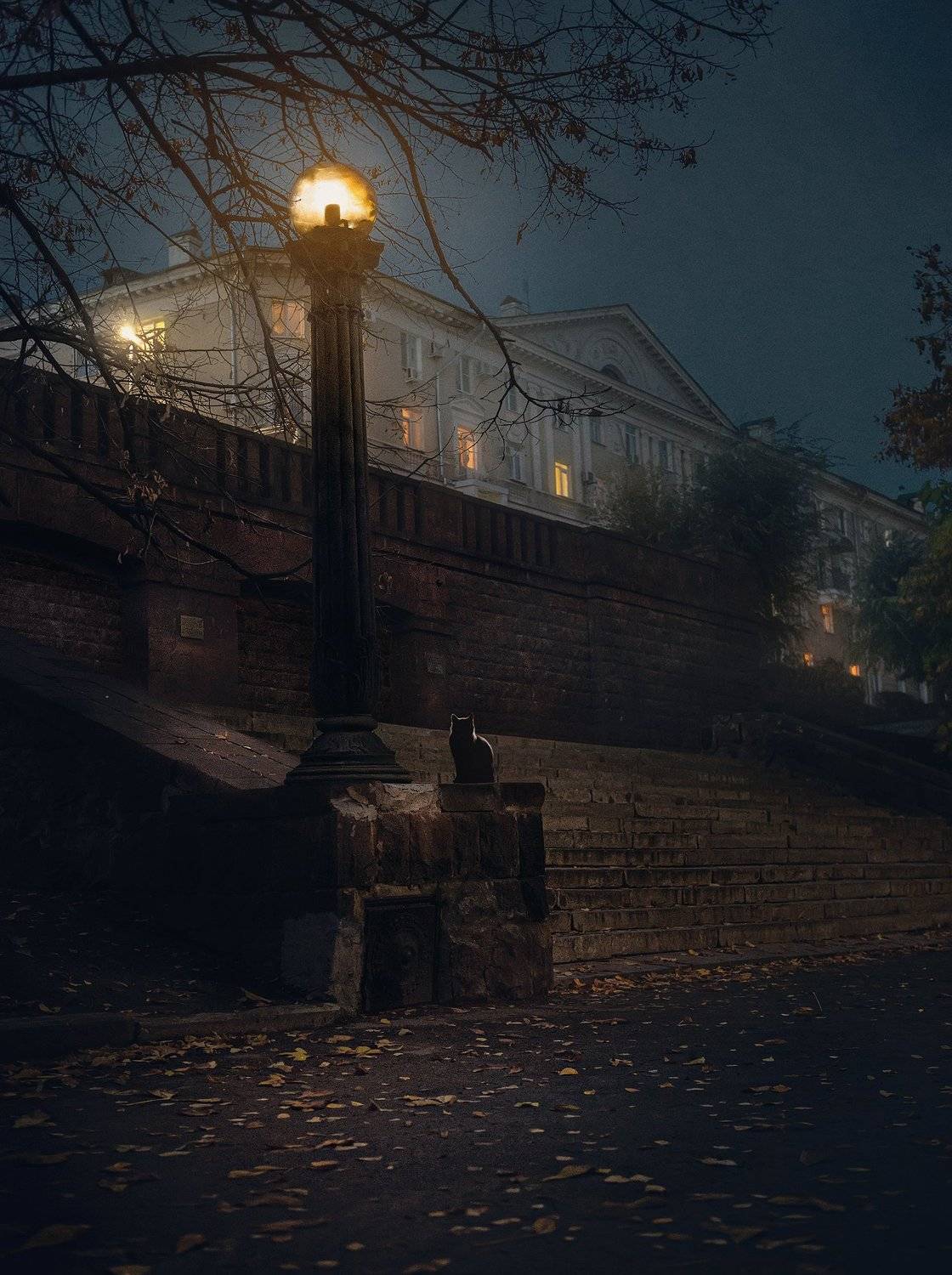 город, архитектура, ночь, улица, Алексей Ермаков