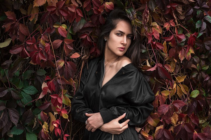 KY фото превью